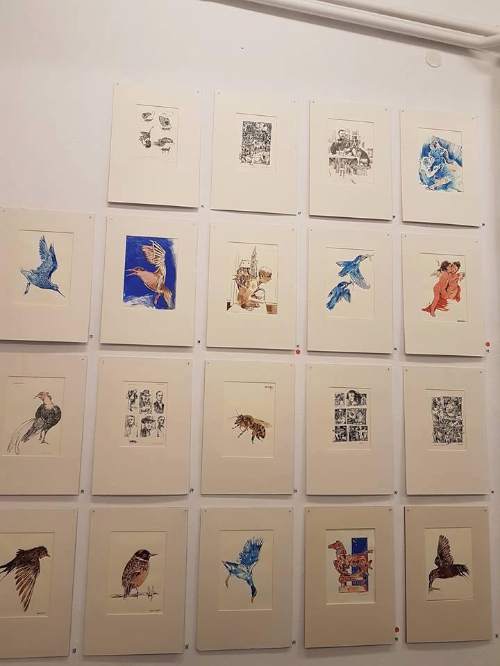  - Image 4